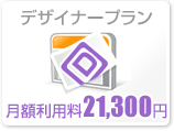�ǥ����ʡ��ץ��