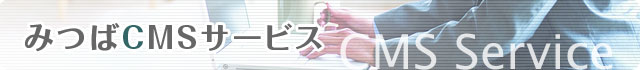 �ߤĤ�CMS�����ӥ�